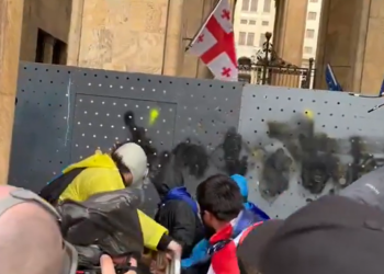 Gruzijski parlament nadjačao veto predsjednice države na zakon o “transparentnosti stranog utjecaja“