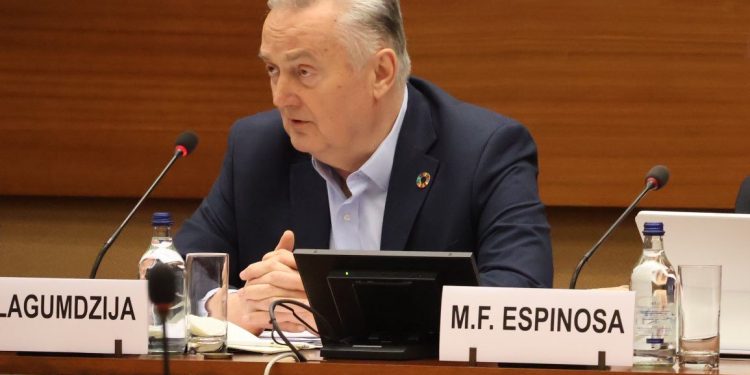 Lagumdžija objavio konačni tekst Rezolucije: Srebrenica je vraćena na globalnu scenu. Od toga niko ne može pobjeći