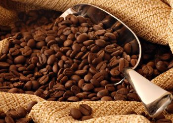 Početkom 2025. u EU stupa na snagu zakon koji će znatno otežati uvoz kafe: Trgovci masovno prave zalihe