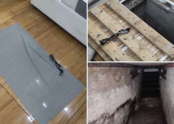 Policija na nogama: U toku najveća akcija zapljene nelegalnog oružja u posljednjih nekoliko decenija