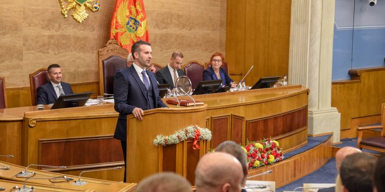 Više od 100 organizacija i 500 istaknutih ličnosti traže da Crna Gora kosponzoriše rezoluciju o genocidu u Srebrenici u UN