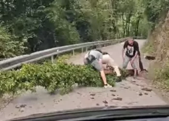 Crvenu jabuku zadesila nesvakidašnja situacija na putu. Evo šta se dogodilo