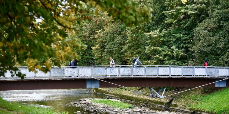 FOTO Likvidacija u Vilsonovom šetalištu: Ubijen muškarac