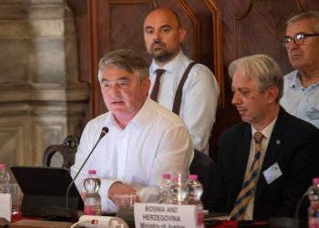 Komšić na sjednici Venecijanske komisije: Ustav BiH zbog terminologije stvara prostor za proizvoljne interpretacije