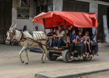Patnja naroda u Palestini: Zbog nestašice goriva koriste zaprežna kola