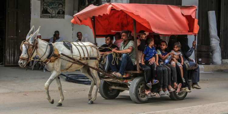 Patnja naroda u Palestini: Zbog nestašice goriva koriste zaprežna kola