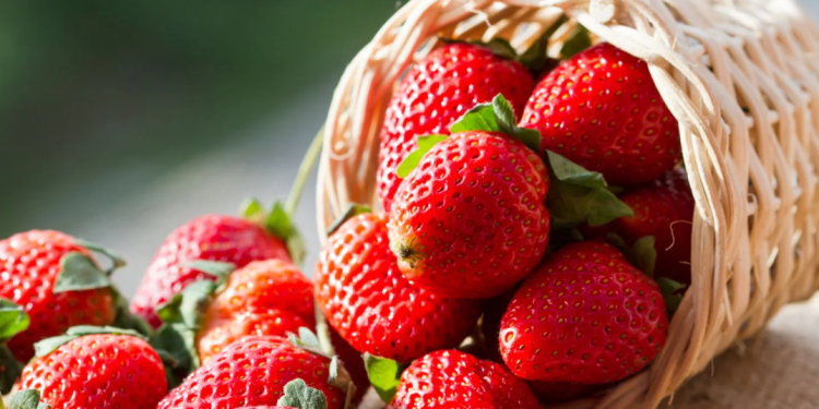 Radi provjereno: Najbolji trik kako da jagode ostanu svježe sedmicama