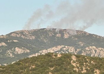 Buknuo veliki požar u Budvi i širi se prema Cetinju: Teren nepristupačan za gašenje