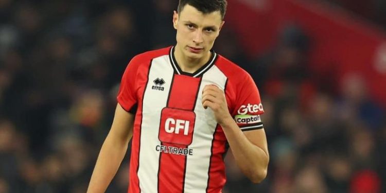 Engleski mediji javljaju: Ovo je izgleda novi klub Anela Ahmedhodžića