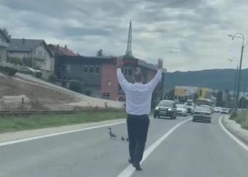 Muškarac u Sarajevu zaustavio saobraćaj kako bi patka sa pačićima prešla ulicu. Svi su oduševljeni potezom