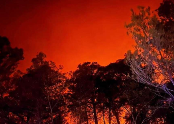 Novi požari u Dalmaciji, gori i kod Pakoštana