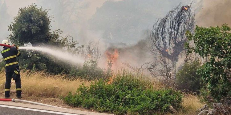 Osam požara na području Hercegovine