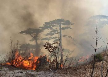 Požar kod Mostara: Gašenje otežavaju nepristupačan teren, vjetar i visoke temperature