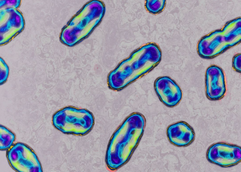 U Koloradu registrovan slučaj kuge kod čovjeka