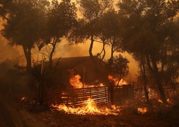 Broj požara u Grčkoj ove godine povećan za 50 posto