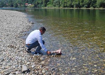 Hurtić simbolično položio 11 ruža u rijeku Drinu odajući počast stradalim migrantima