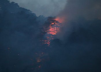 Iz Nacionalnog parka Sutjeska poručuju: Očekuje nas besana noć