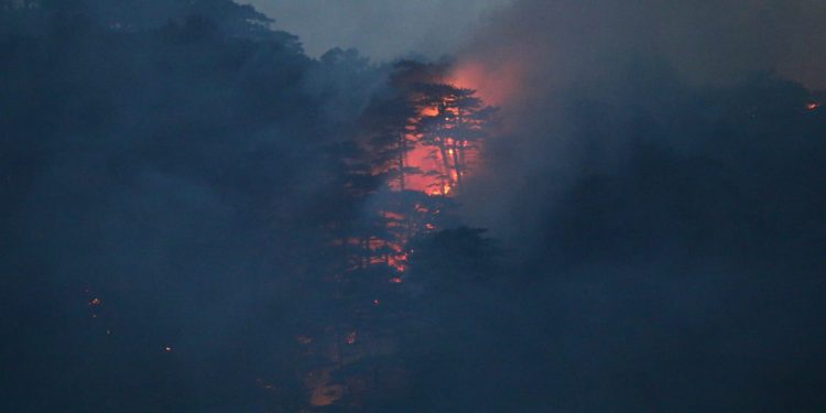 Iz Nacionalnog parka Sutjeska poručuju: Očekuje nas besana noć
