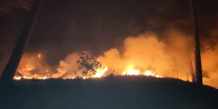 Katastrofa na planini Konjuh, požar prijeti i hotelu Muška voda