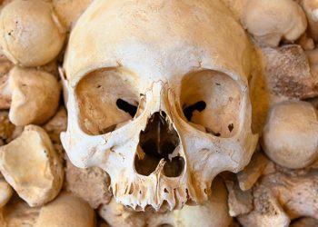 Naučnici uz pomoć DNK riješili misteriju staru 400 godina