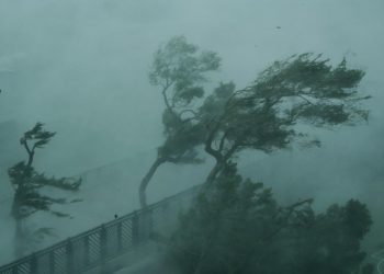 Očekuje se da će Japan pogoditi snažan tajfun