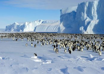 Rekordni toplinski val na Antarktici, temperature u prosjeku više za 10 stepeni