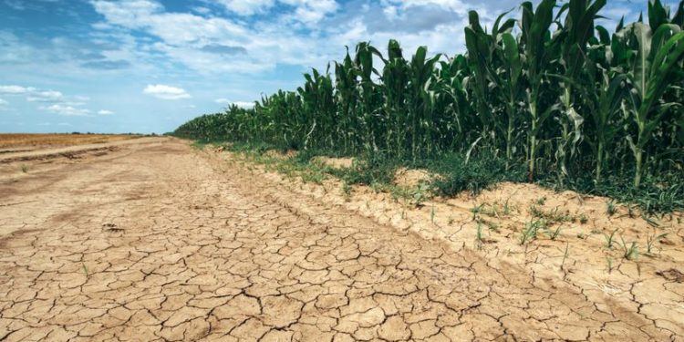 Stižu nova suša, temperature idu preko 35 stepeni