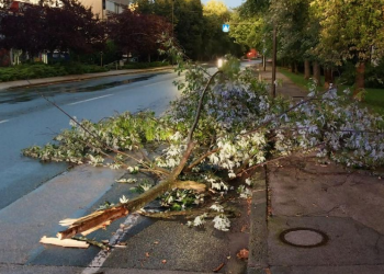 Vjetar nosio krovove i obarao drveće u Sloveniji. Nevrijeme krenulo i prema Hrvatskoj