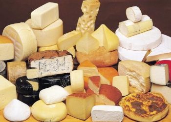 Zanimljiv način poslovanja: Banka u Italiji postala hit jer prihvata parmezan kao zalog za kredit