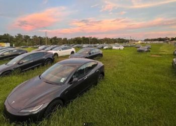 Zarasla poljana puna novih Tesli: O čemu se zapravo radi?