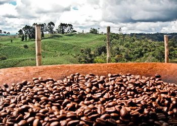 Cijene kafe lete nebu pod oblake. Brazil i Vijetnam u krizi, a bit će još gore