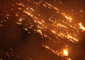 Gori zabranjena zona, panika raste: Požar zahvatio radioaktivnu šumu kod Černobila