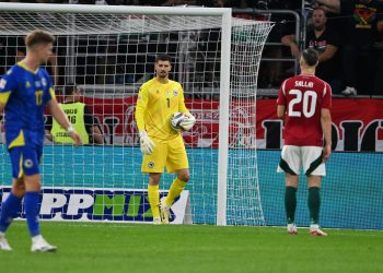 Oglasio se heroj Zmajeva iz Budimpešte, nije ni mogao ništa drugo da kaže