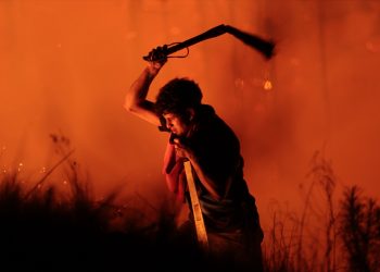 U velikim požarima u Argentnini uništeno 40.000 hektara šumskog i poljoprivrednog zemljišta