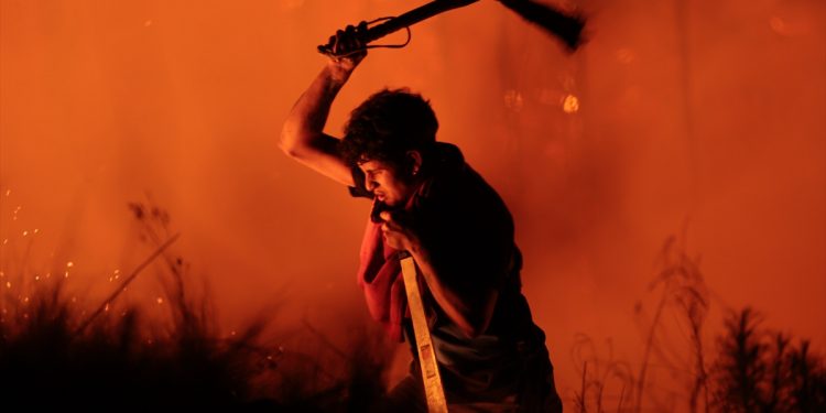 U velikim požarima u Argentnini uništeno 40.000 hektara šumskog i poljoprivrednog zemljišta