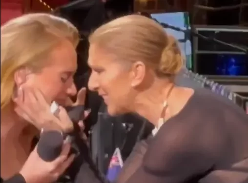 Adele se rasplakala na koncertu nakon što je ugledala bolesnu pjevačicu u publici