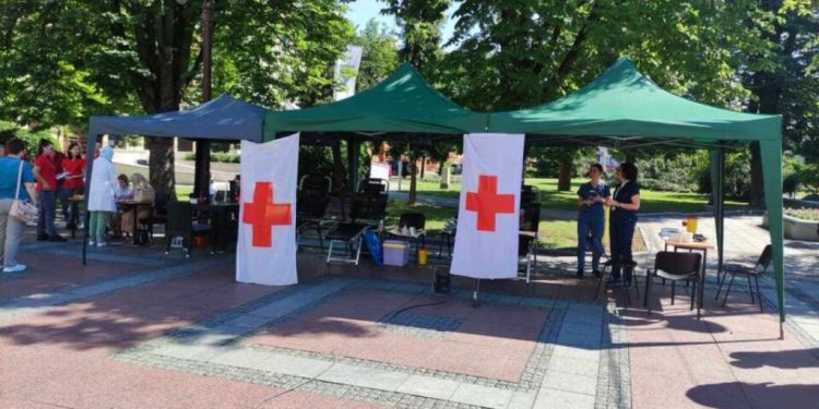 Hrvatski crveni križ prikupio gotovo 150.000 eura za BiH