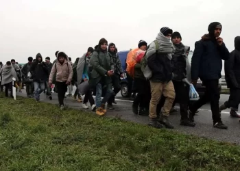 IOM: Migranti nisu problem, oni su rješenje i razvojna prilika BiH