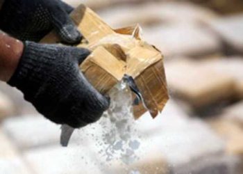 Proizvodnja kokaina u Kolumbija ubrzano eskalira: Porasla je za 53 posto u 2023. godini