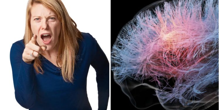 Šta se dešava sa ženskim mozgom tokom menstruacije