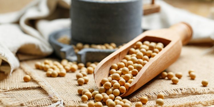 Mišljenje onkologa: Je li soja dobra ili loša za konzumiranje?