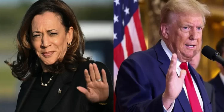 Nije bitno hoće li pobijediti Trump ili Harris. Evropa je već poražena