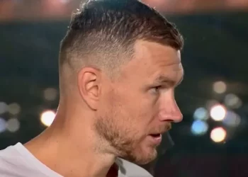 Potez Edina Džeke nakon utakmice protiv Njemačke mnogo toga govori