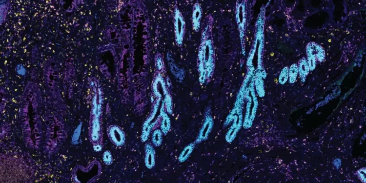 Prekretnica u biologiji ljudskog tijela: Naučnici prave atlas ljudskih ćelija koji bi mogao promijeniti mnogo toga