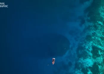 Ronioci su mislili da su pronašli olupinu broda, ali su se šokirali kad su vidjeli da je divovska sjena zapravo živa