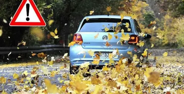 Vozači oprez! Kiša i lišće koje pada opasna su kombinacija na cesti