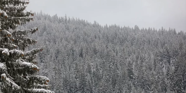 Danas pretežno oblačno. Za vikend stiže kiša, na planinama snijeg