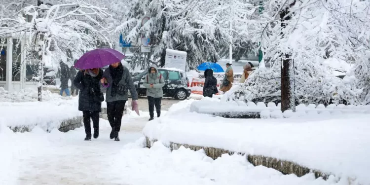 Izvještaj iz Civilne zaštite KS: Zbog snijega dolazilo do pucanja i obaranja grana, saobraćaj otežan i usporen