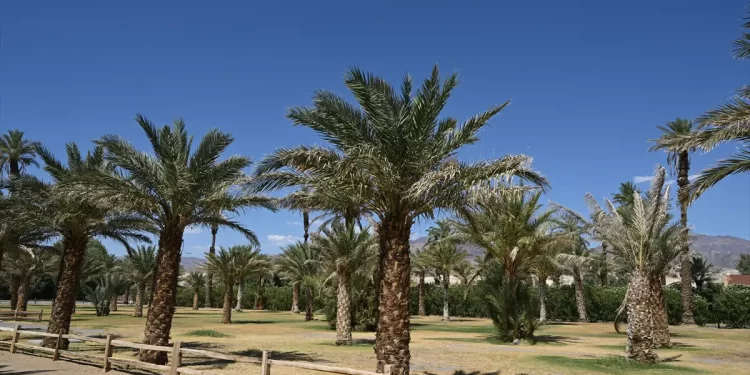 Potres magnitude sedam stepeni pogodio obalu Kalifornije, izdato upozorenje na cunami