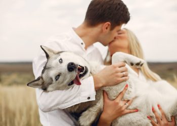 Savjet za samce zlata vrijedan: Nabvite psa, nije svjedno koje je vrste. I ljubav će doći